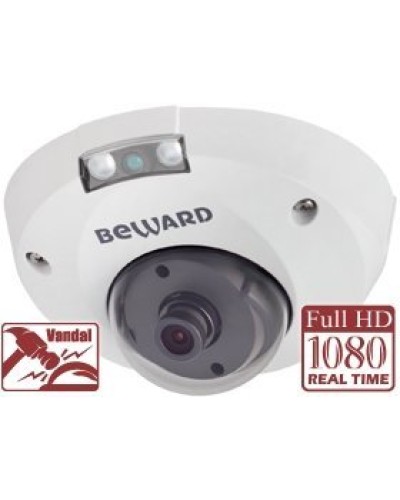 NK55630D8. IP-камера купольная. Beward в Обнинске