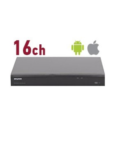 RK2216. Видеорегистратор IP 16-канальный. Beward в Обнинске