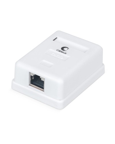 WS-8P8C-Cat.5e-SH-1 (7485c): Розетка RJ-45 в Обнинске