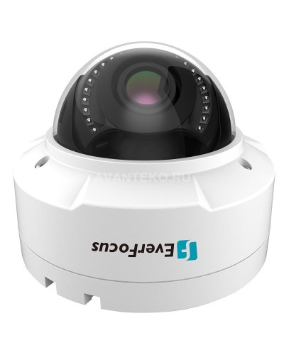 EHN-1250. Видеокамера IP купольная. EverFocus в Обнинске