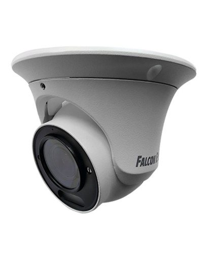 FE-IPC-DV2-40pa. Видеокамера IP купольная. Falcon EYE в Обнинске