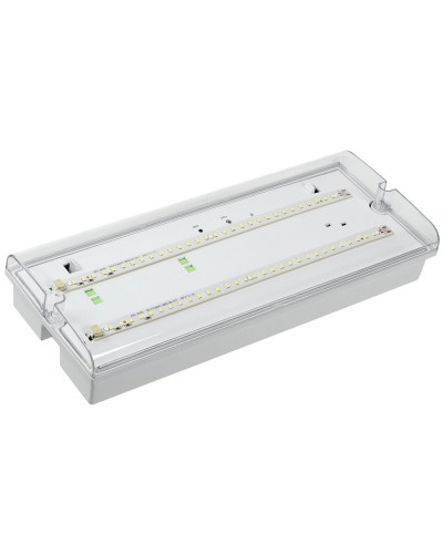 Светильник аварийный ДПА 5042-1 1ч IP65 LIGHTING (LDPA0-5042-1-65-K01). Светильник аварийный универсальный. IEK в Обнинске