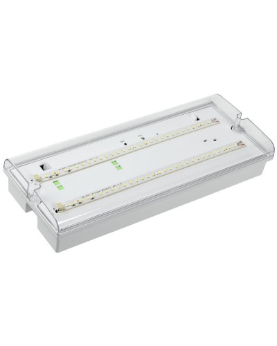 Светильник аварийный ДПА 5042-3 3ч IP65 LIGHTING (LDPA0-5042-3-65-K01). Светильник аварийный универсальный. IEK в Обнинске