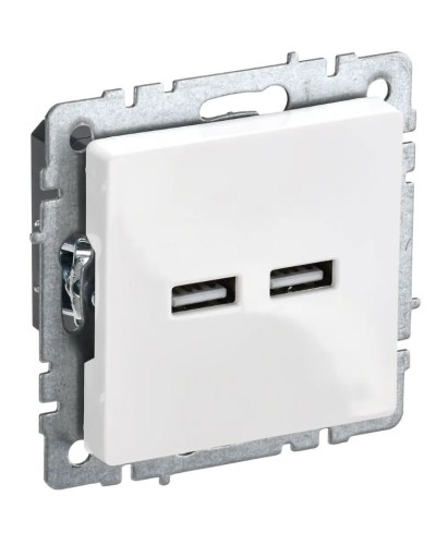 Розетка USB A+A 3,1А РЮ10-1-БрБ белый BRITE (BR-U21-D31-K01). Розетка USB. IEK в Обнинске