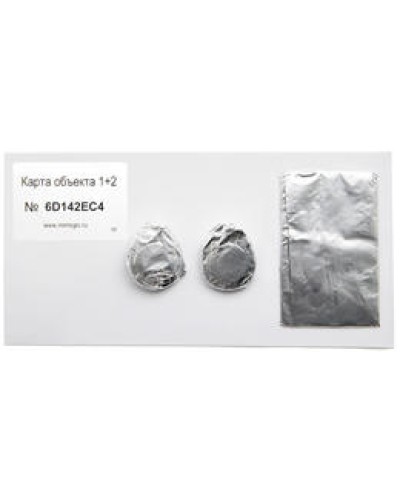 Карта объекта 1+2. Проксимити карта. IronLogic в Обнинске