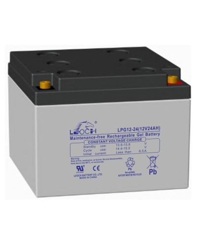 LEOCH LPG 12-24. Аккумулятор герметичный свинцово-кислотный. LEOCH в Обнинске
