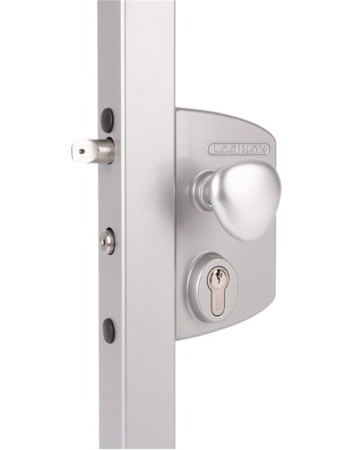 LIKQ4040 U2L (цвет: RAL 9005, черный). Замок электромеханический для калиток. Locinox в Обнинске