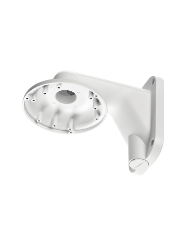 RVi-1BWM-5 white. Кронштейн настенный. RVi в Обнинске