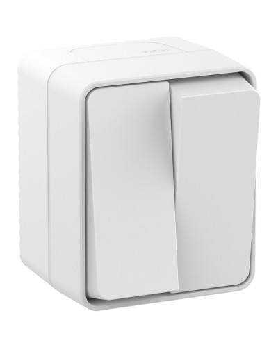 AtlasDesign PROFI54 выключатель 2-клавишный, открытой установки, белый (ATN540151). Выключатель. Systeme Electric в Обнинске