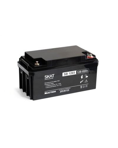 SKAT SB 1265 (2541). Аккумулятор герметичный свинцово-кислотный. Бастион в Обнинске