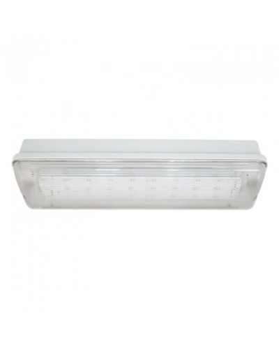 SL-223-30LED1.8 исп. 1, IP65. Светильник аварийного освещения. ИП Раченков А.В. в Обнинске