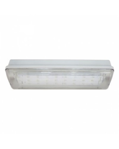 SL-213-30LED1.8 исп. 1 IP65. Светильник аварийного освещения. ИП Раченков А.В. в Обнинске