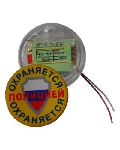 БИГ-09 н.р.. Индикатор прибытия наряда. ПЭАП (Альфатех-Центр) в Обнинске