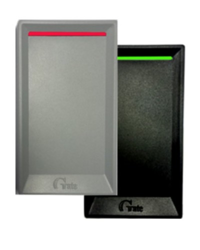 Gate-Reader-EH. Считыватель. Равелин в Обнинске