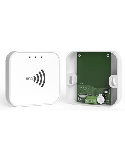 RFID-TM. Считыватель RFID. Ритм в Обнинске
